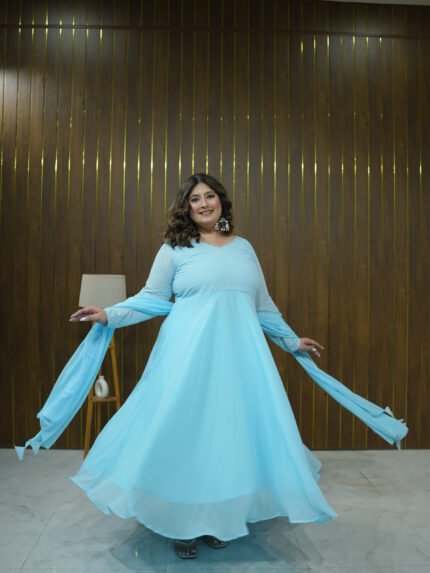Divine Elegance Georgette Schiffli Dress